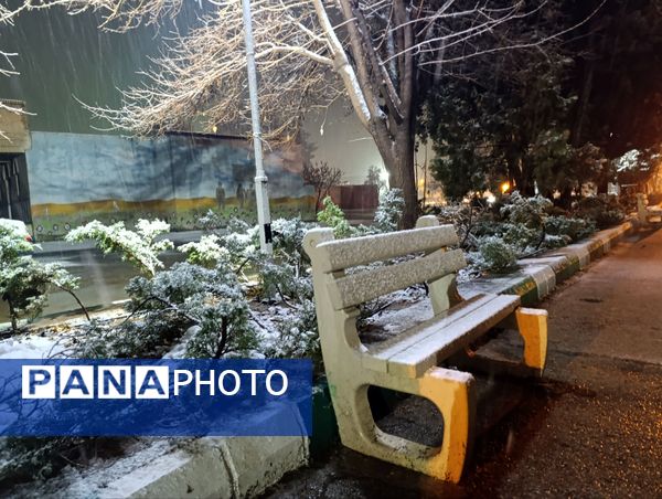 حال و هوای گلزار شهدا با بارش برف الهی