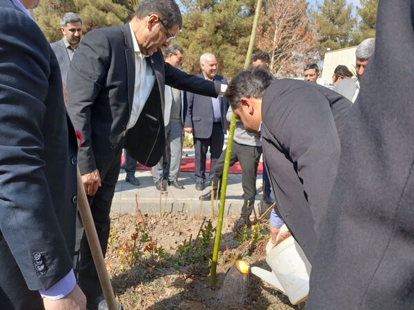 کاشت نهال یادمان صحن دانش تا کرسی قانون‌گذاری 