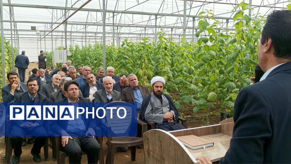 بازدید از گلخانه نمونه خسروشاه در هفته بسیج