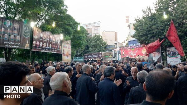 شعور حسینی در کنار شور حسینی