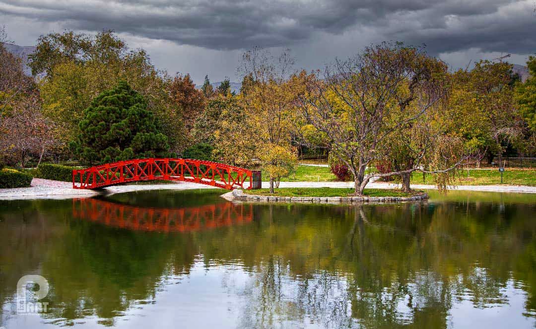 «حفاظت از ۴ هزار گونه گیاهی ایران در باغ گیاه‌شناسی ملی و باغات اقماری» 