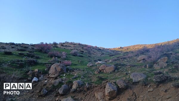 تویسرکان؛ شهری با هزار چهرهٔ تاریخی، طبیعی و مذهبی، مقصدی ناشناخته