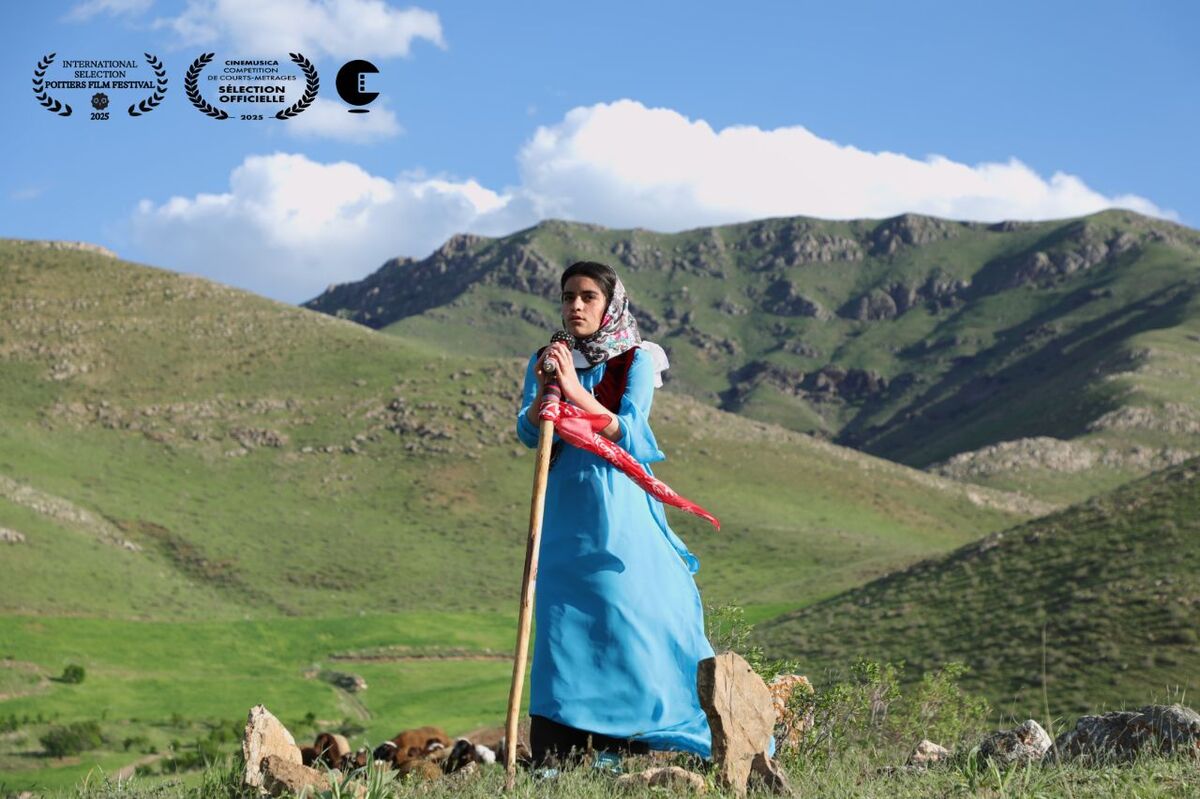 «دشت می‌خواند» در بخش مسابقه دو جشنواره فرانسوی 