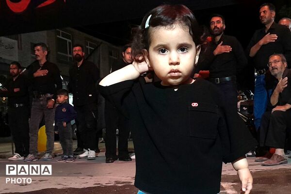 از کربلا تا ایران؛ عزاداران حسینی با پرچم ایران، پیام وحدت و استقامت را فریاد زدند