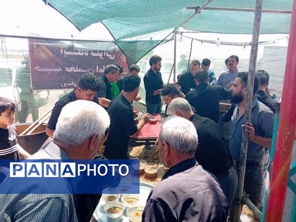 اربعین حسینی در سید محمد (ع) کاشمر