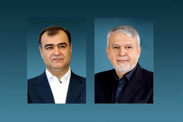 صنعت بیمه حامی فعالان گردشگری و صنایع‌دستی است