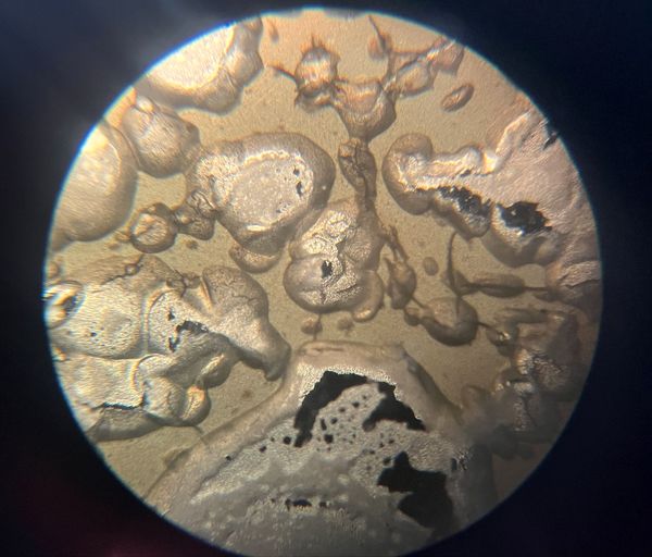 بازدید دانش‌آموزان مدرسه سما حاجی‌آباد از پژوهش‌سرای رازی در قالب طرح مهارت‌افزایی یارا