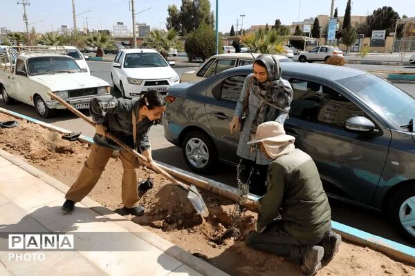 کاشت ۱۰۰۰ «نهال امید» به یاد «سرو ایران» در یزد
