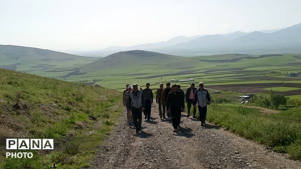 همایش پیاده‌روی ادارات در شهرستان دهگلان