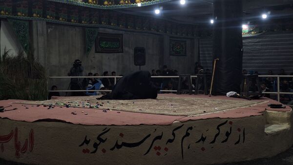 عطر غربت فاطمی در مارکده پیچید