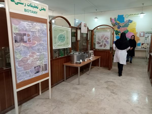 کنجکاوی پانایی ها در کشف اسرار کشاورزی و دامپروری 