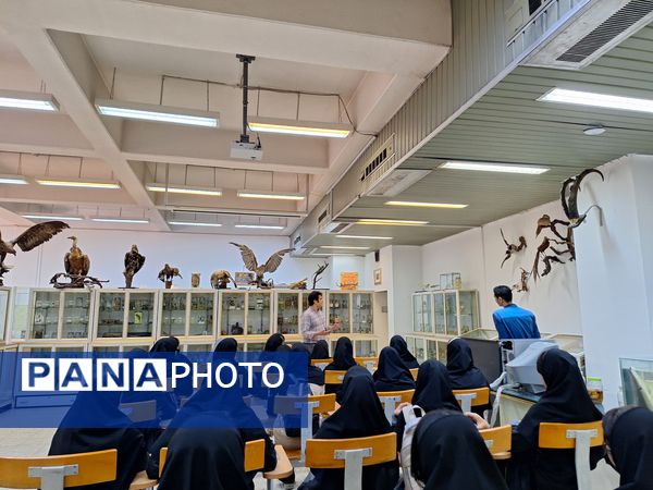 بازدید دانش‌آموزان از موزه زمین شناسی و جانور شناسی دانشگاه فردوسی مشهد