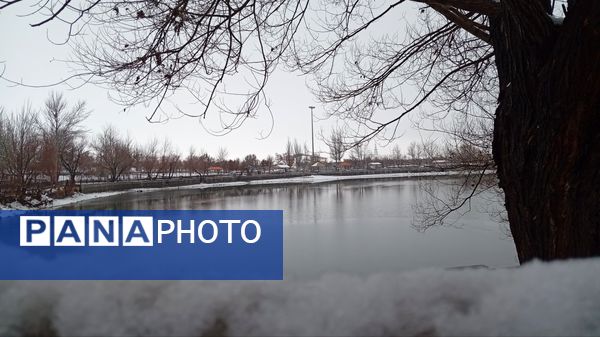 گرداب بن زیر چتر سپید برف