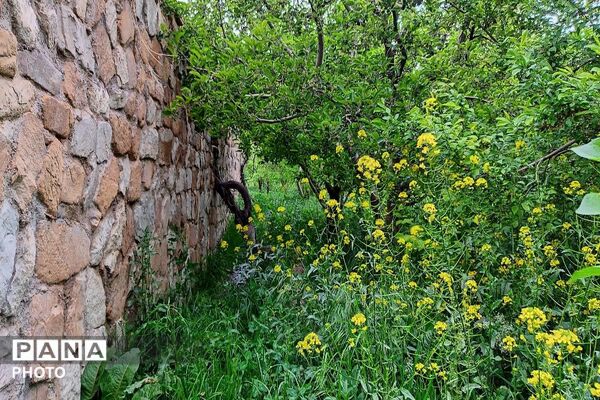 آلبوم تصویری از طبیعت زیبای شهر بار در اردیبهشت‌ماه  ۱۴۰۵ـ۲