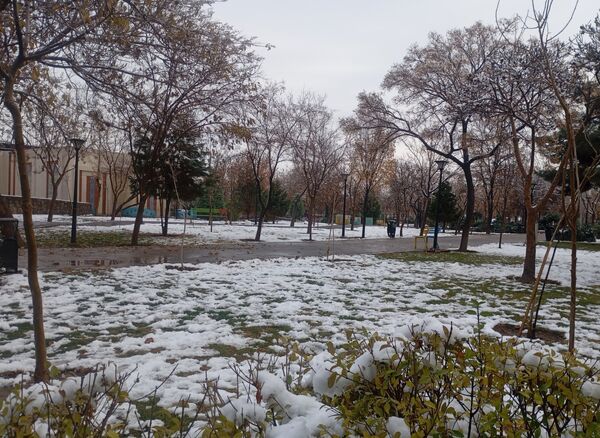 بارش برف در شهر زیبای مشهد 