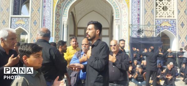 مراسم سینه زنی و عزاداری امام رضا علیه السلام توسط هیئات کاشمر 