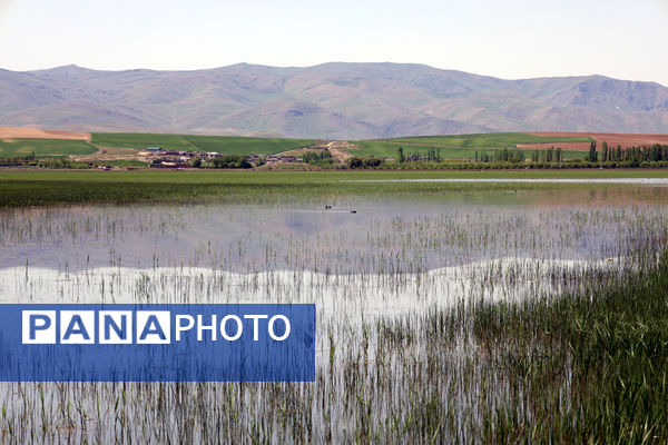 تور رسانه‌ای بازدید از تالاب‌های حوضه آبریز دریاچه ارومیه