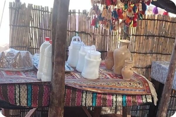 صنایع دستی هنرِ دستان زنان روستای باغات