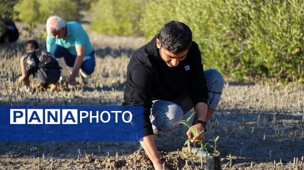 پاکسازی و کاشت نهال حرا در تالاب بندرخمیر