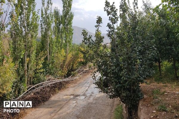 بارش غیر منتظره باران در تابستان ۱۴۰۵شهر بار نیشابور
