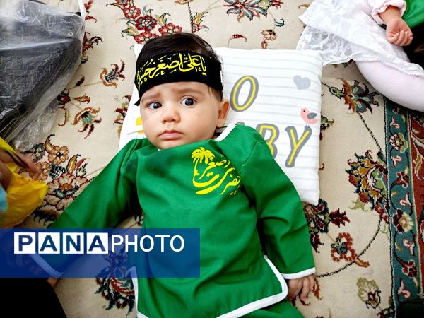 مجمع جهانی شیرخوارگان حسینی در کاشمر 