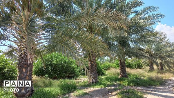 طبیعت هرگز تکراری و خسته‌کننده نمی‌شود