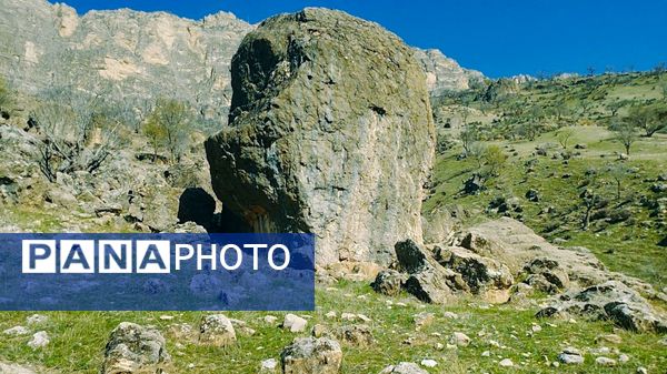 طبیعت بهاری، یک یادآوری دوست داشتنی