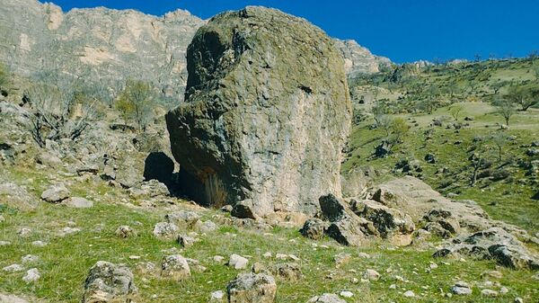 طبیعت بهاری، یک یادآوری دوست داشتنی