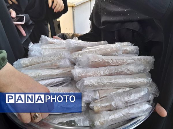 موکب حضرت رقیه(س) شهر حبیب آباد