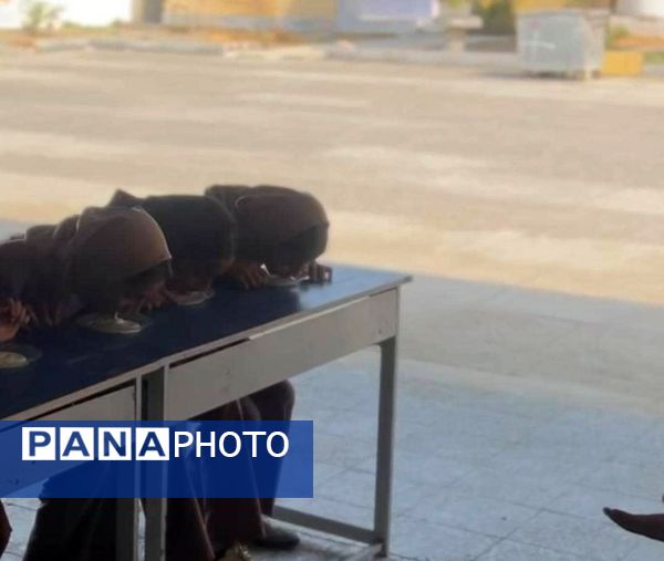 «جشن جوانه‌ها» ویژه دانش‌آموزان پایه هفتم در سیریک