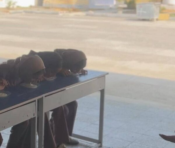 «جشن جوانه‌ها» ویژه دانش‌آموزان پایه هفتم در سیریک