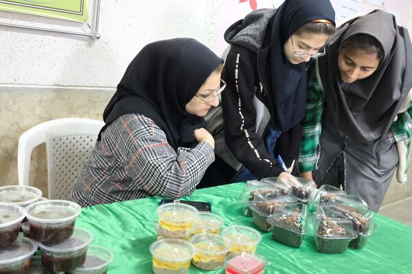 برگزاری نمایشگاه مشاغل خانگی در دبیرستان شاهد ام ابیها، شهرستان آباده