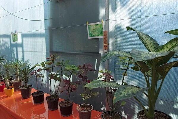 افتتاح گلخانه «باغ سلیمی» در دبستان شهید سلیمی جهرمی کهریزک 