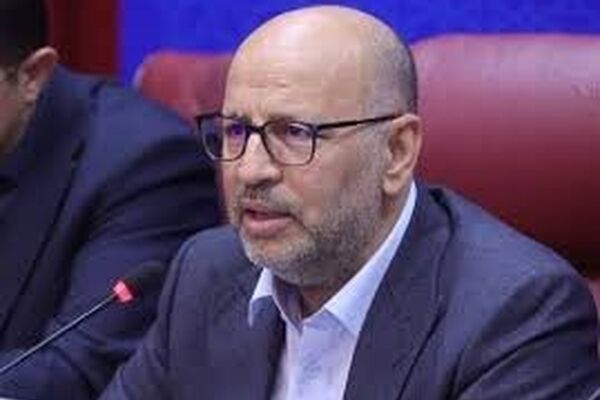 معاون وزیر اقتصاد: اداره کشور در پساجنگ باید تغییر کند/ کرمان پایلوت تفویض اختیارات شود