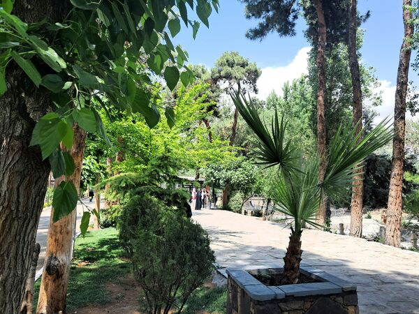 بازدید از باغ وحش ارم ،تجربه‌ای بی‌نظیر در دنیای شگفت‌انگیز حیوانات 