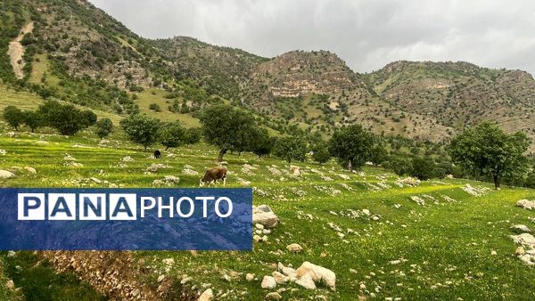 دهکده زراس، بهشت گمشده خوزستان