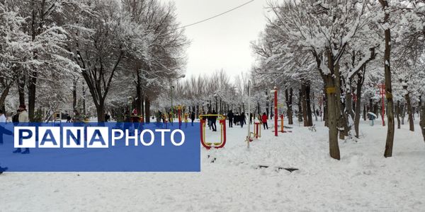 سکوت برفی بروجن، قلب شهر را به تپش انداخت