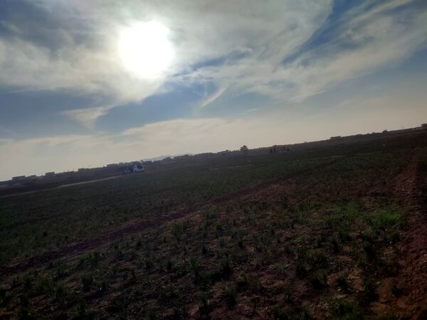 فدافن روستایی که زعفرانش با تشنگی خاک قصه‌ای تلخ نوشت