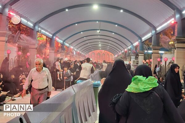 حس و حال دلدادگان حسینی در مسیر نجف و کربلا