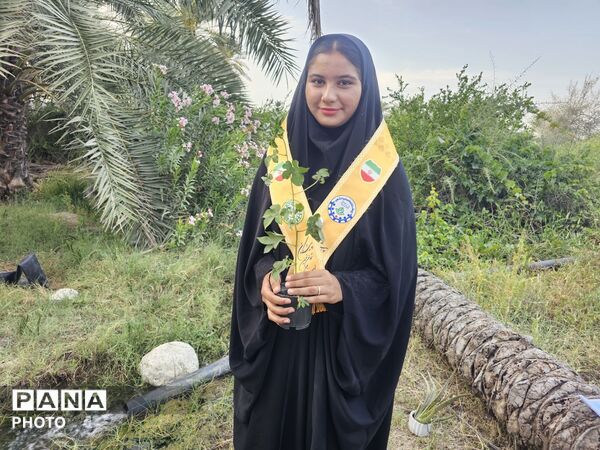 کاشت نهال به یاد دانش‌آموزان شهید مدرسه شجره طیبه میناب در سندرک