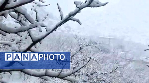 سفیدپوش شدن روستاهای یزد به روایت تصویر