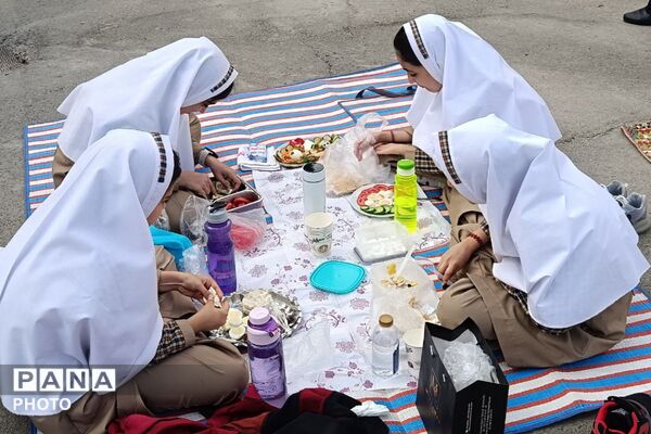  صبحانه سلامت در روز جهانی تخم مرغ