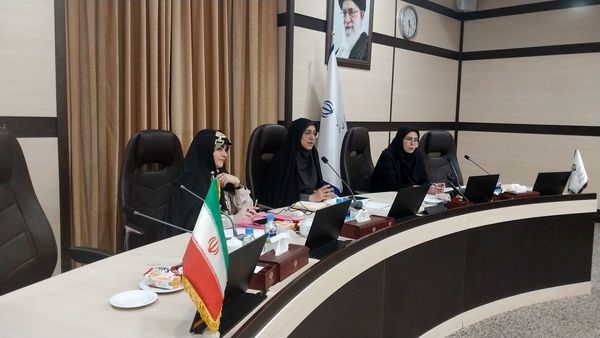 کارگروه دختران نواجوان و جوان مشهد با مشاور معاون رئیس جمهور در امور زنان وخانواده 