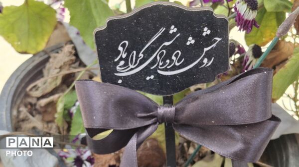 شهیدی از جنس بلور