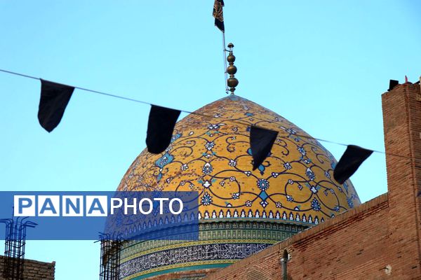 دل‌های جامانده، گرد حرم سلطان علی(ع) در مشهد اردهال به شور افتادند