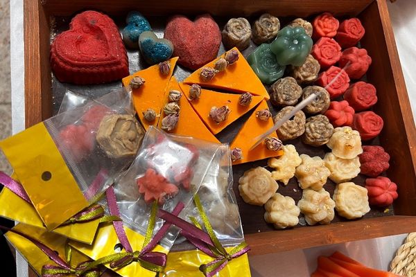 پایان کار نمایشگاه گیاهان دارویی پژوهش‌سرای کاوش کهریزک 