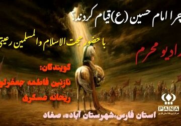 واکاوی علل قیام سیدالشهدا(ع)