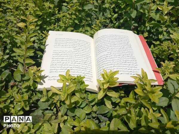  کارگاه عکاسی در کتابخانه امام باقر (ع)  نظرآباد