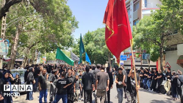 خیابان‌های تویسرکان میزبان دسته‌های عزاداری شد