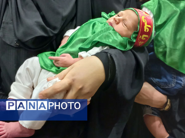 همایش شیرخوارگان حسینی(ع) در قم - 2